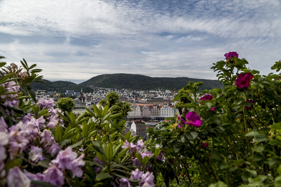 bergen-Aussicht