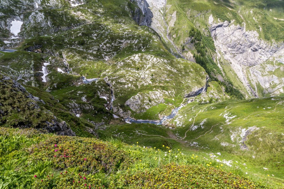 gstaad-Berge-Alpenrosen