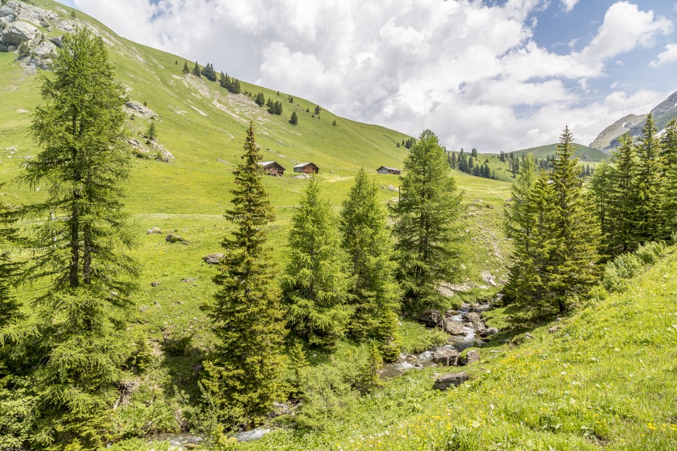 gstaad-Lauenen