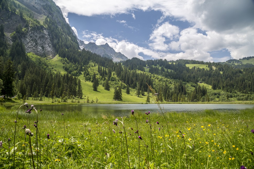 gstaad-Lauenensee-1