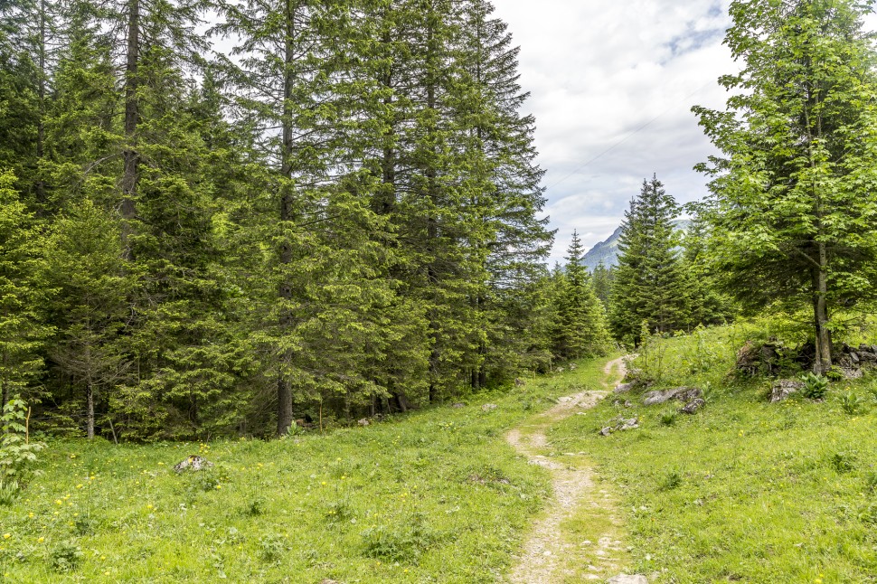 gstaad-Wanderung-1