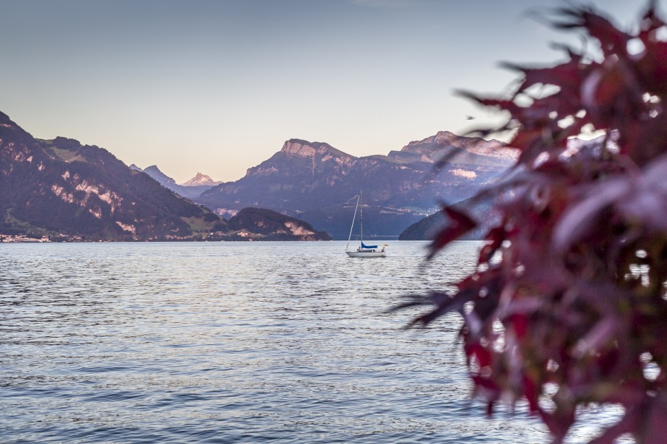 park-weggis-Sonnenuntergang