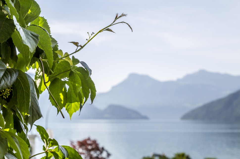 park-weggis-vierwaldstättersee