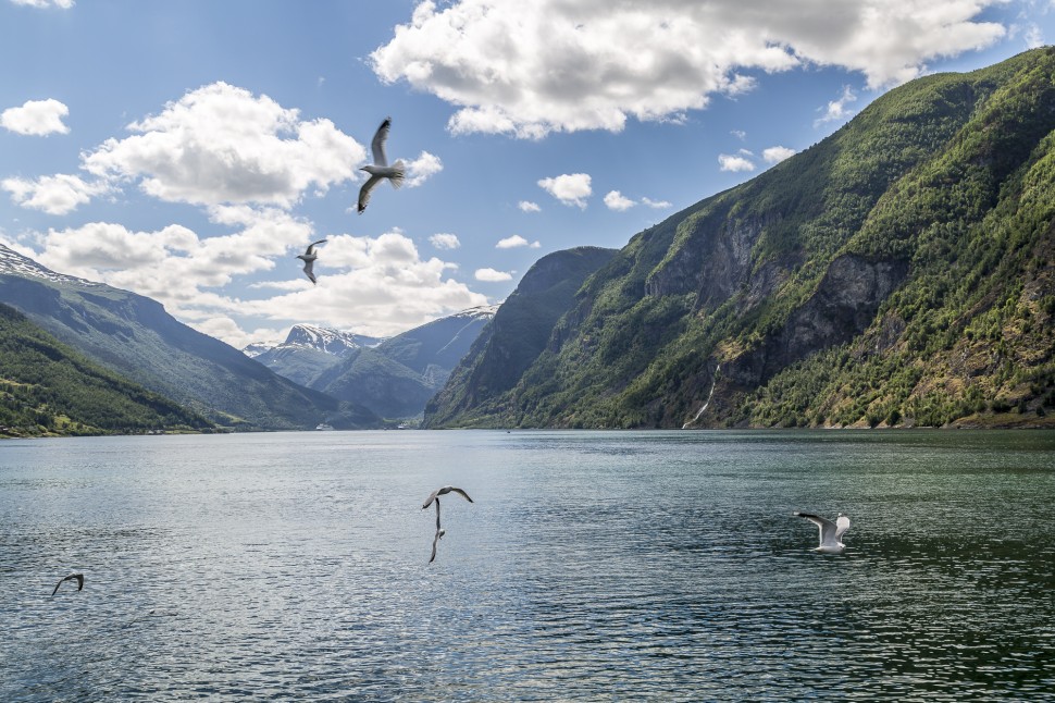 Aurlandsfjord-Blick-auf-Flam