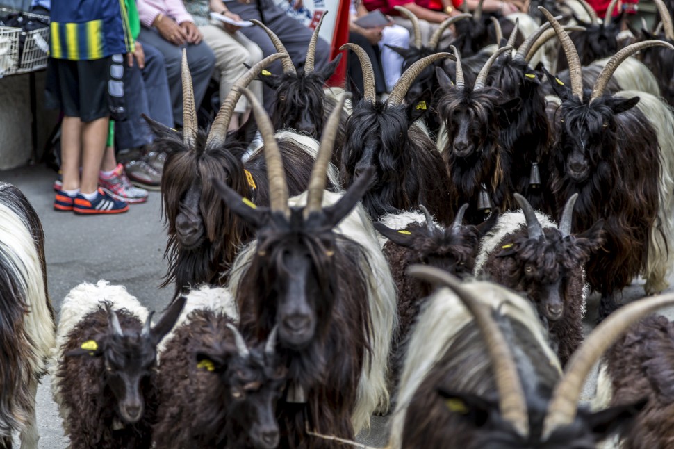 SwissFoodFestival-Zeramtt-Folkloreumzug