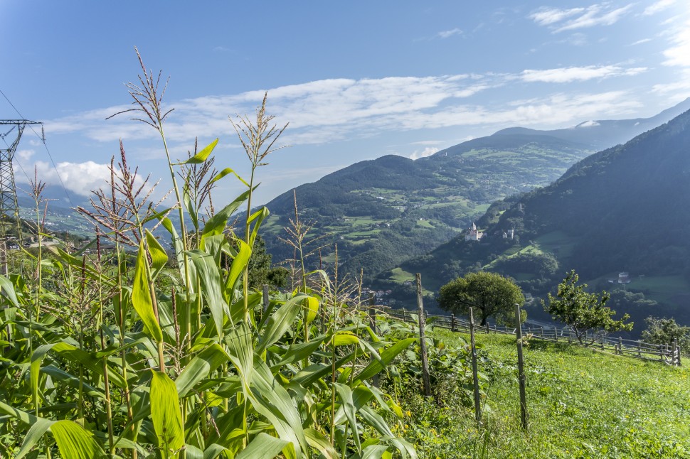 Barbian-Aspingerhof