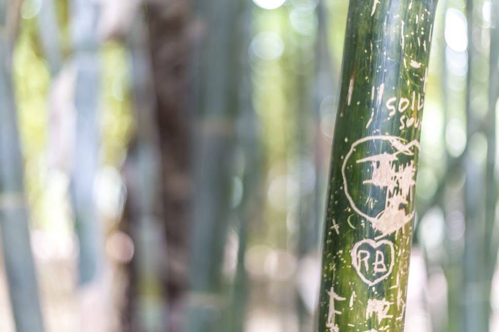 Jardin-Majorelle-Marrakesch-2