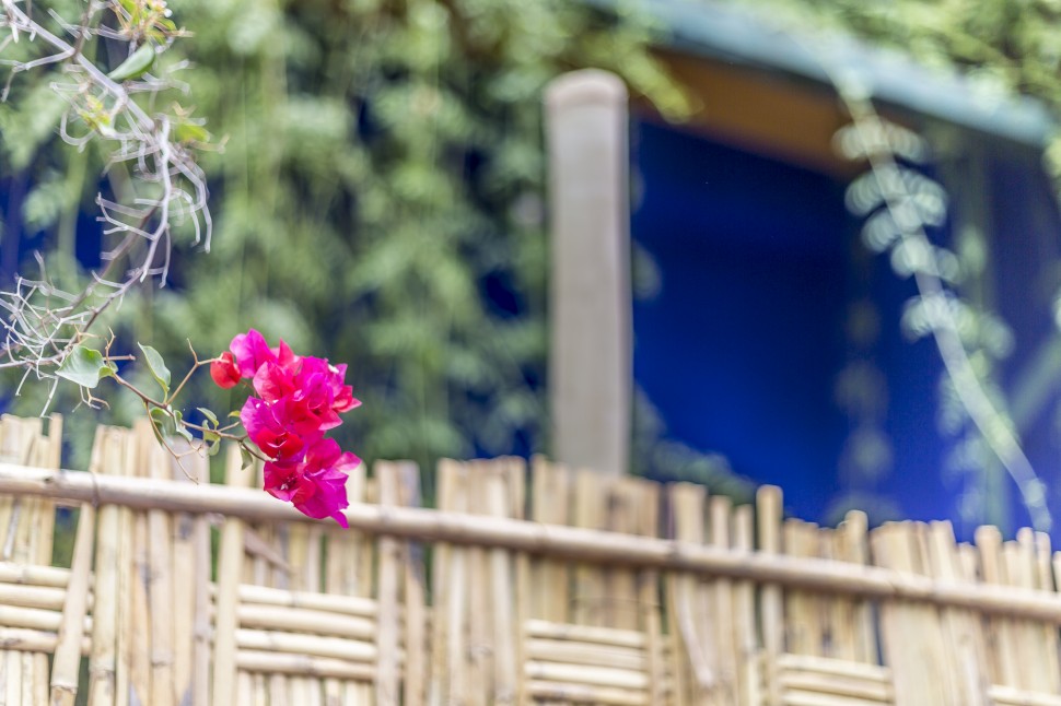 Jardin-Majorelle-Marrakesch-7