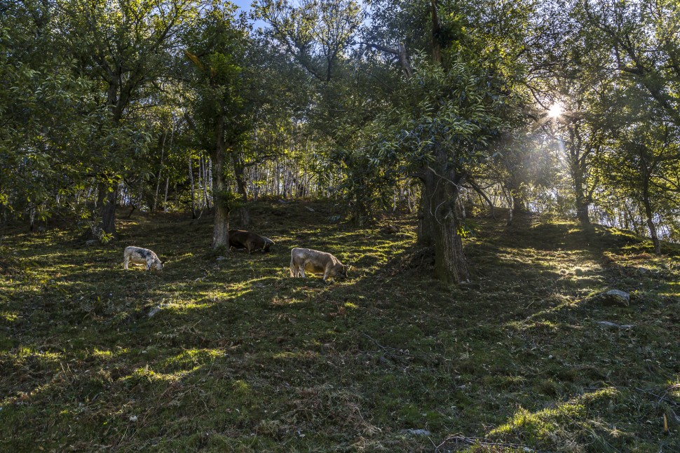 Landschaft-Tessin