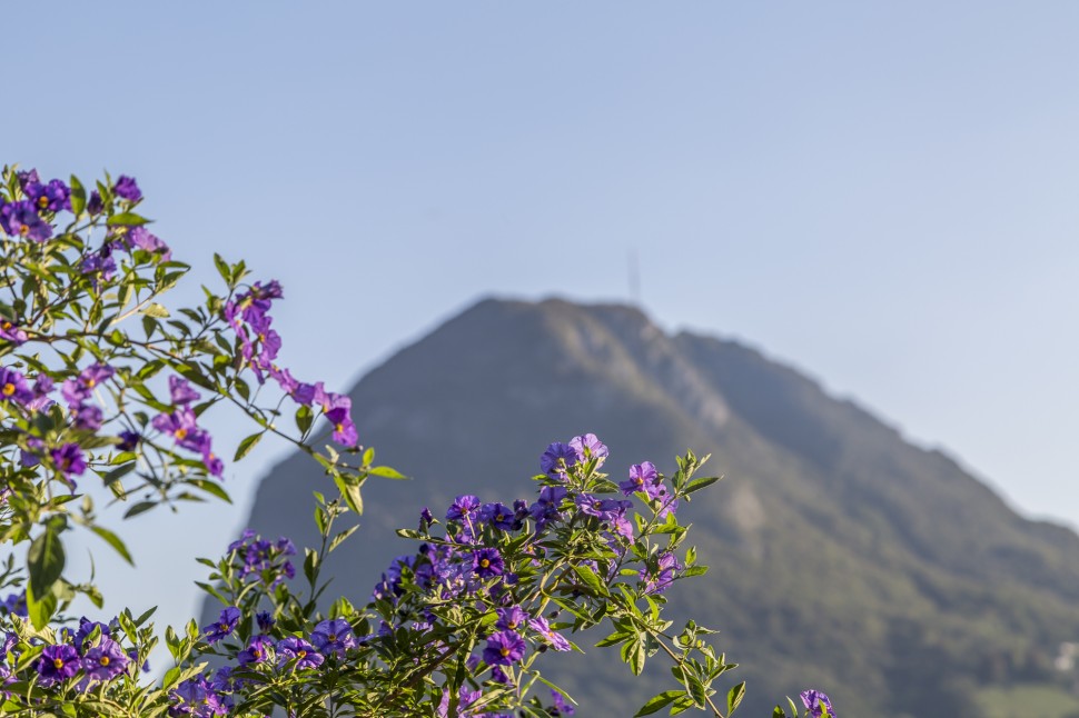 Lugano-Promenade-San-Salvatore