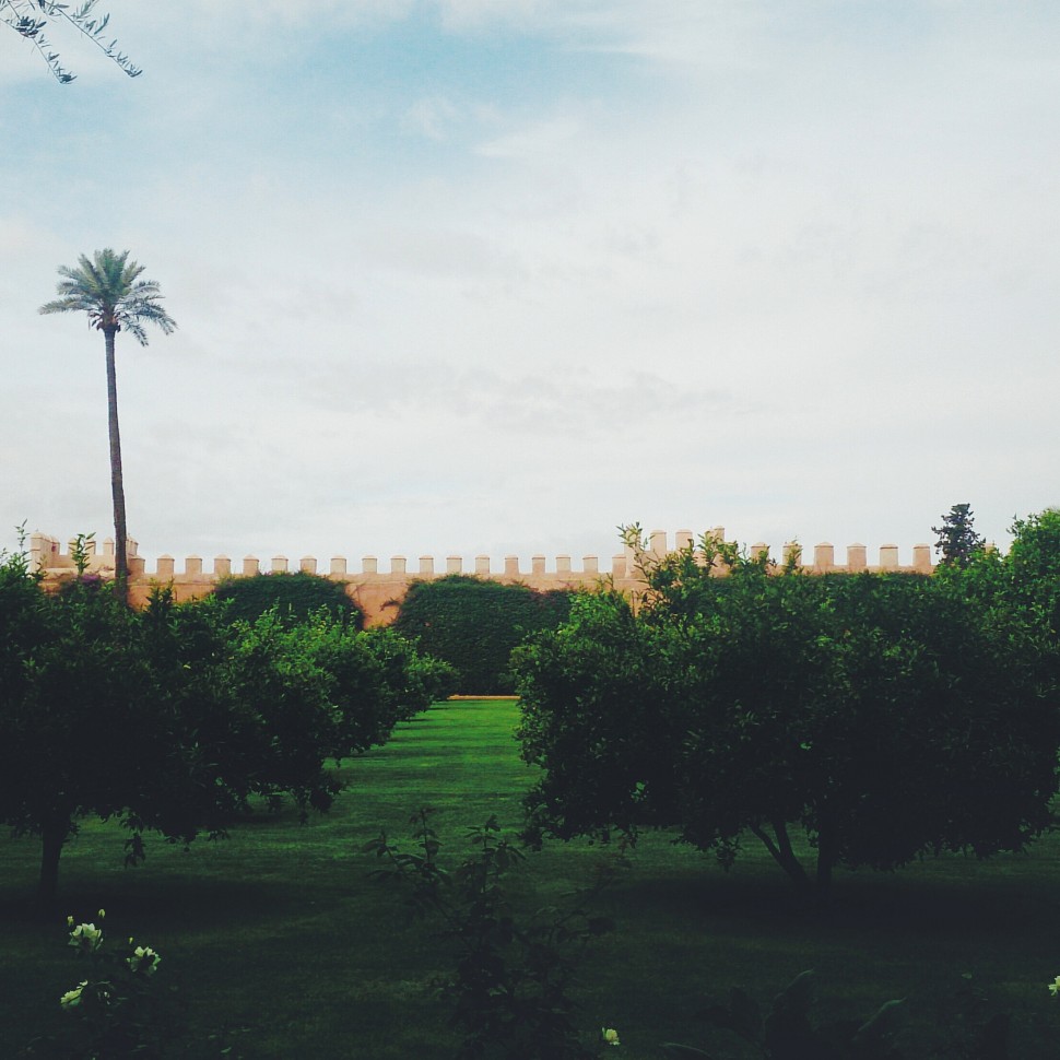 Marrakesch-la-Mamounia-4