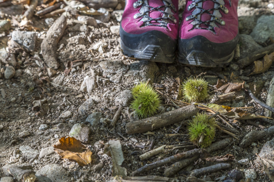 Kastanienweg: Wanderung durch den Malcantone