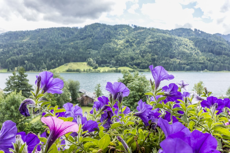 Weissenseerhof-Ausblick