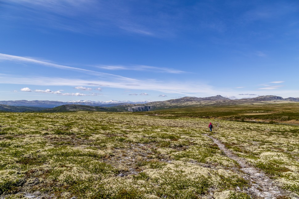 rondane-1