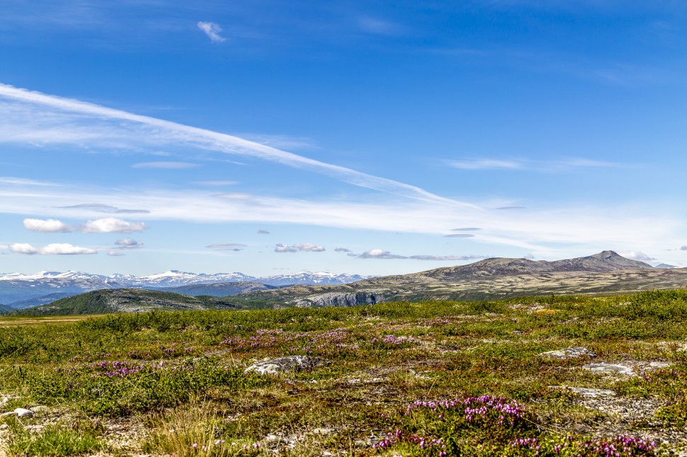 rondane-24