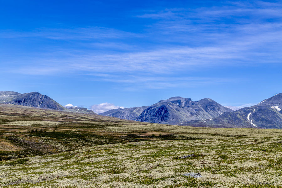 Mini Roadtrip durch Mittelnorwegen