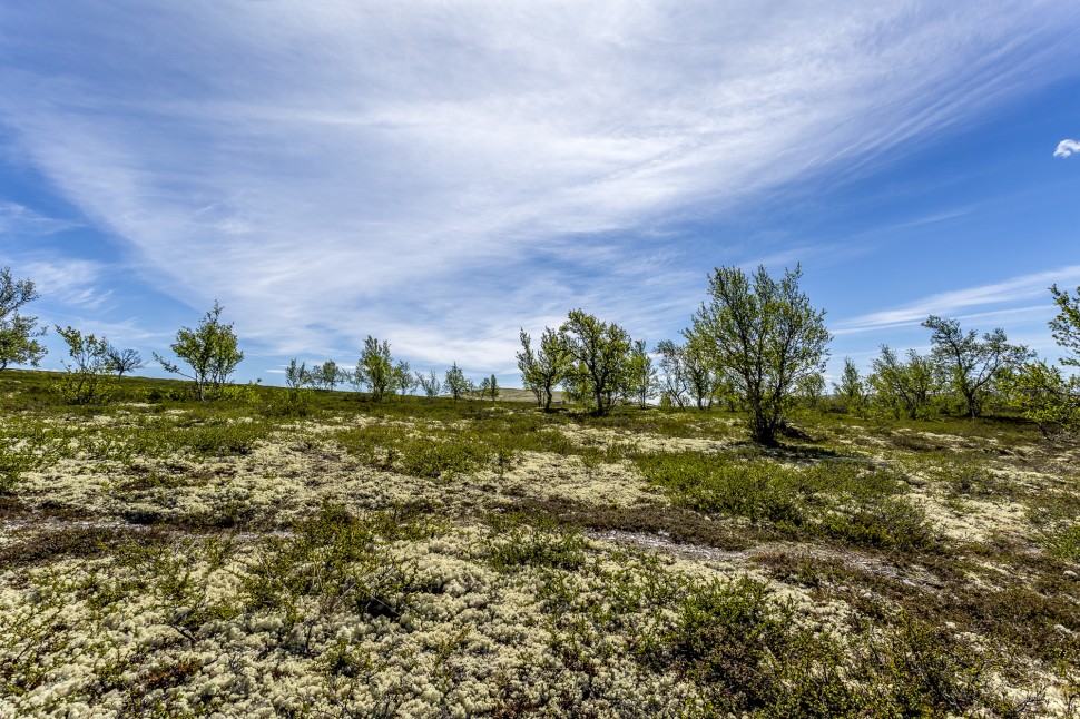 rondane-35