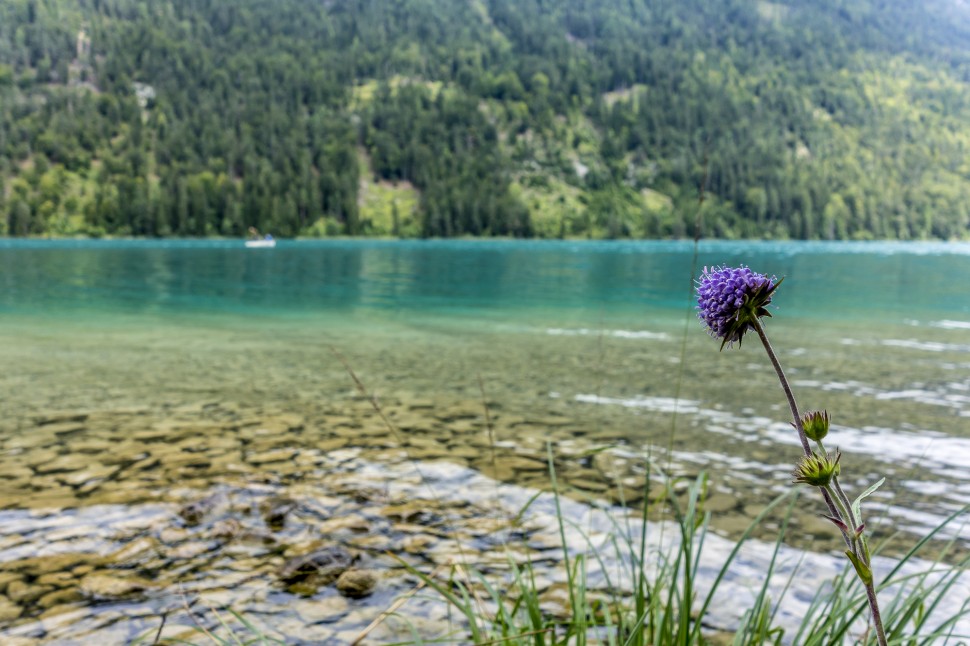 weissensee-idylle