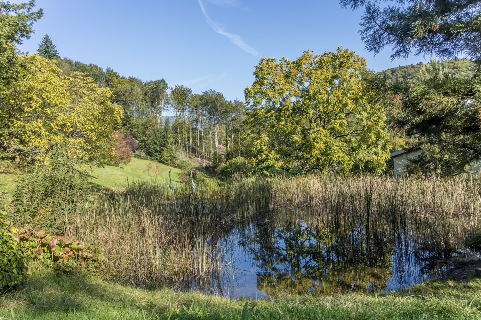 Arboretum-aubonne-1