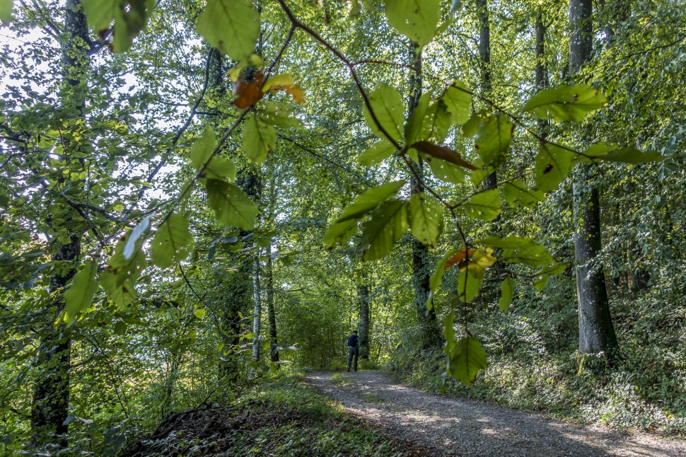 Arboretum-aubonne-7