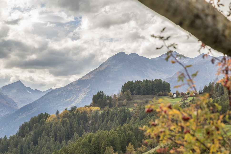 Ardez-Ausblick-Boscha