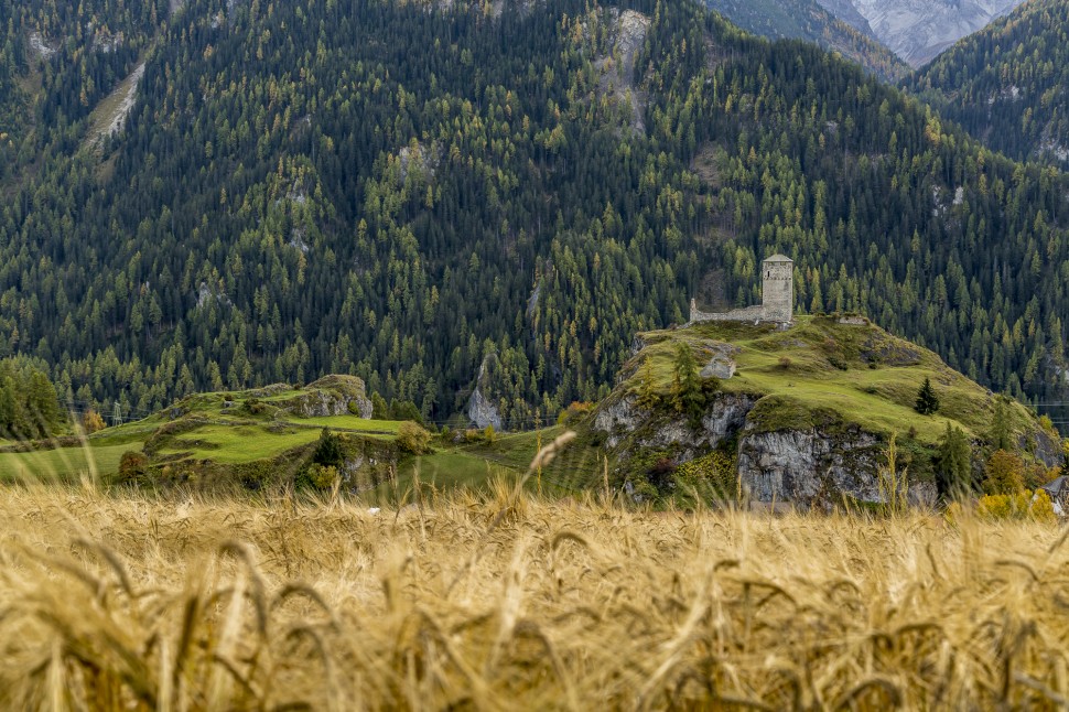 Ardez-Ruine-Steinsberg