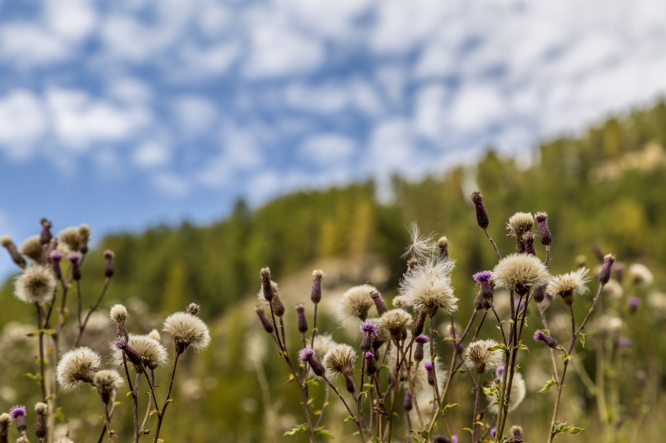 Engadin-Herbst