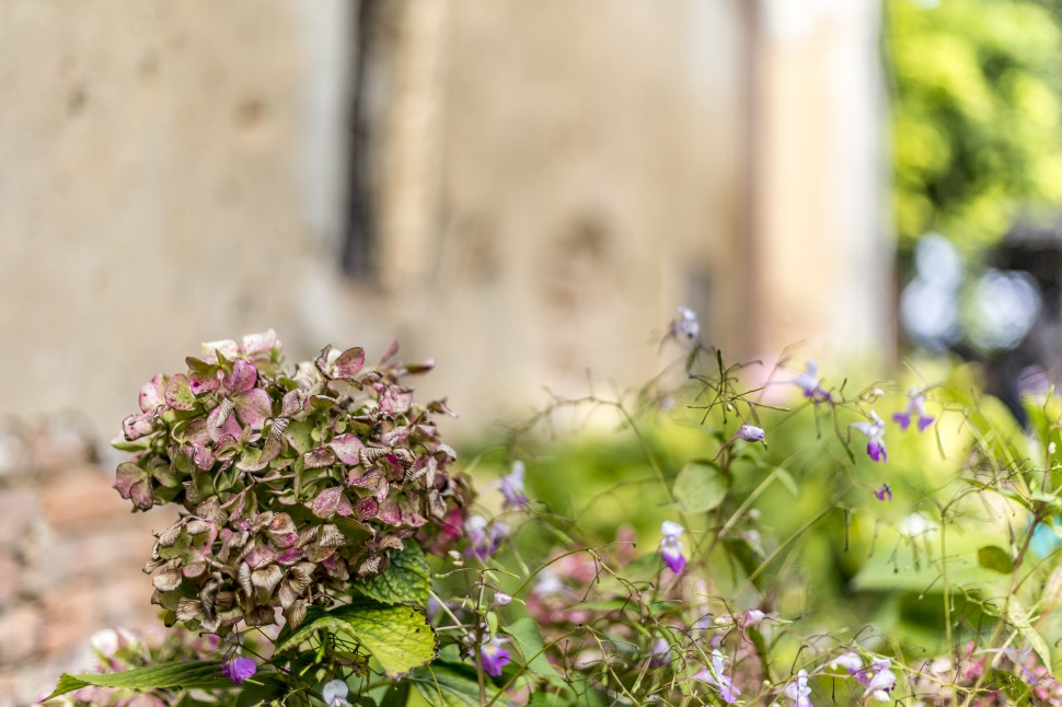 Locanda-Al-Carrobbio-Cremona-5