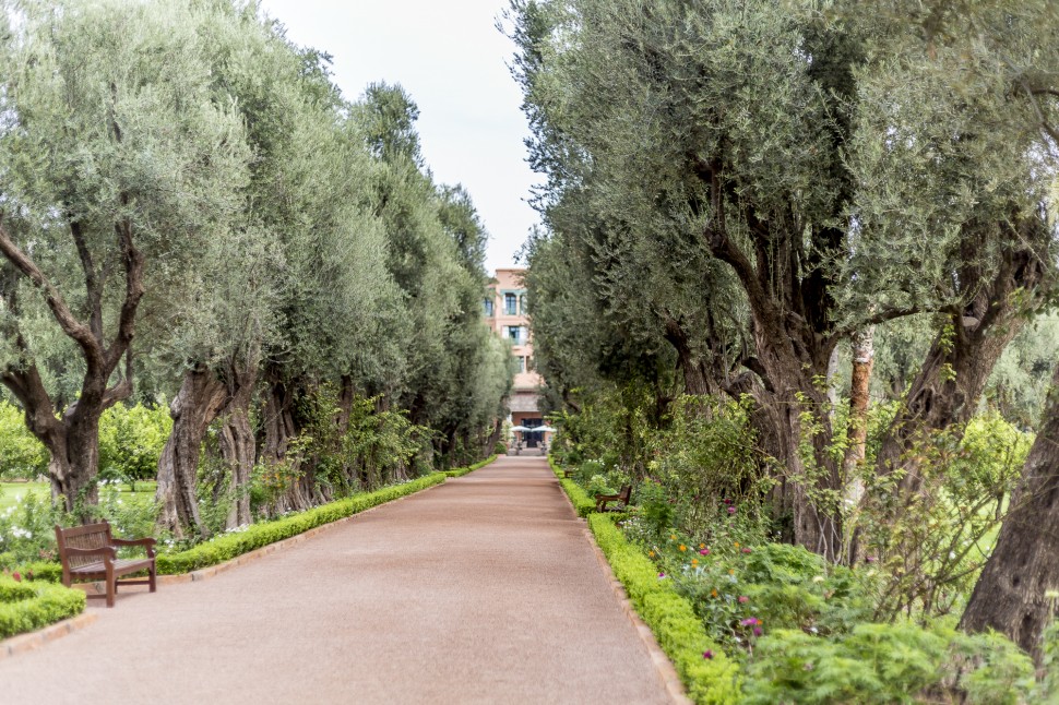 la-mamounia-garden-1