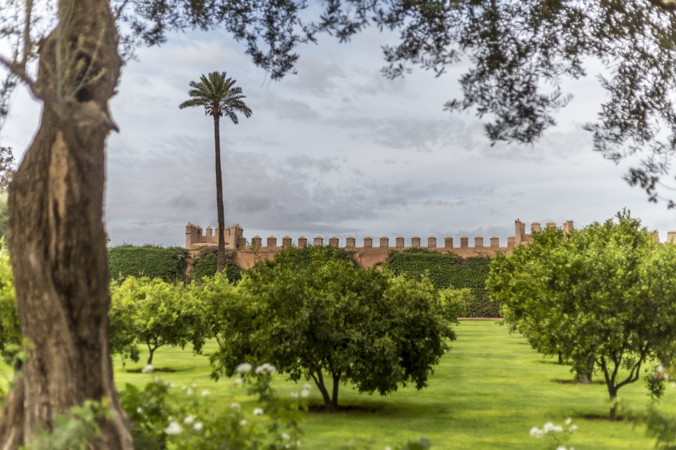 la-mamounia-garden-2