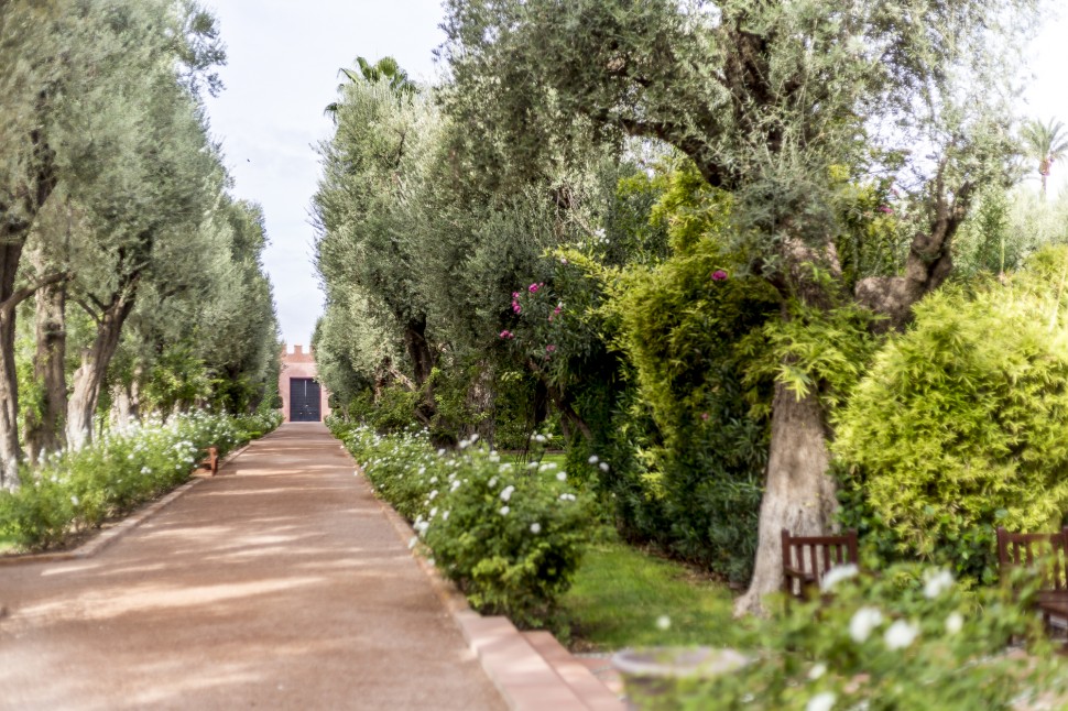 la-mamounia-garden-5