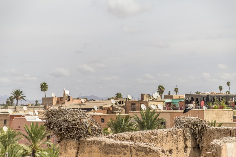 marrakech-palais-el-badi-2