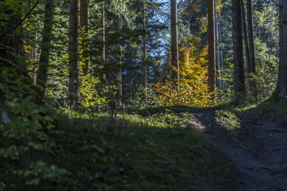 Flimserwald Wanderung Caumasee - Crestasee