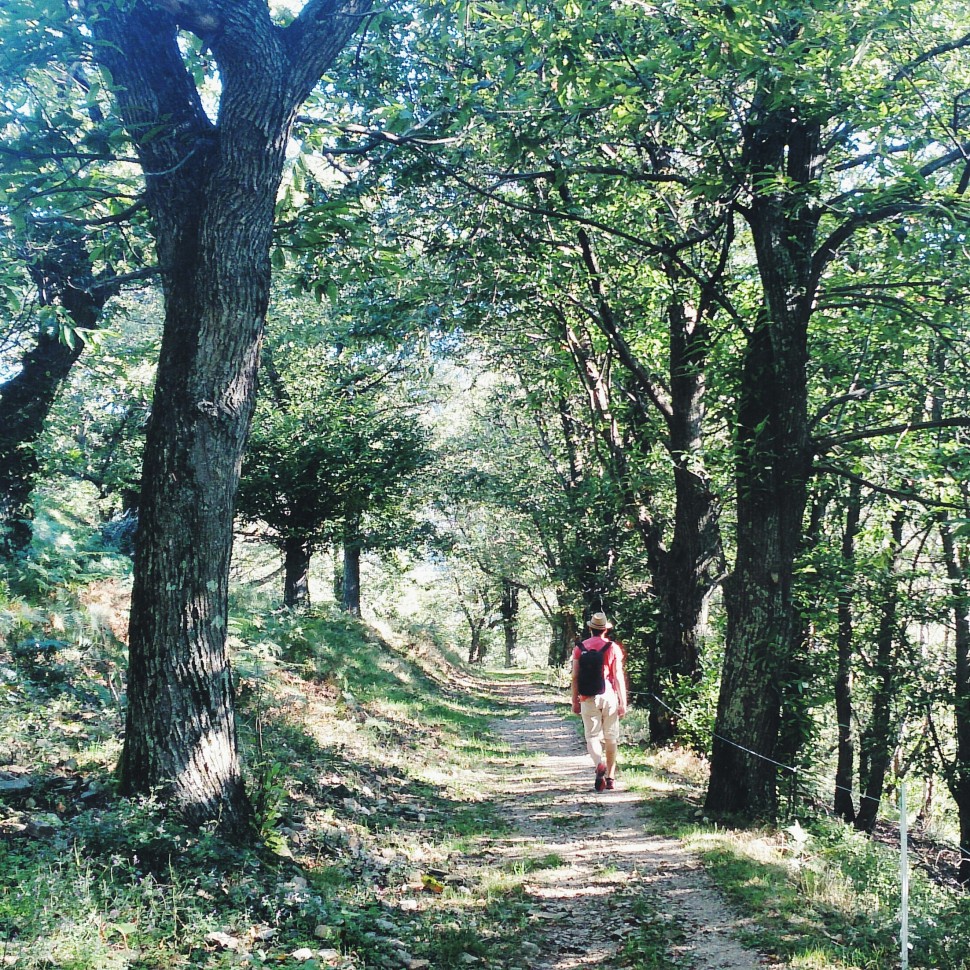 Kastanienweg-malcantona