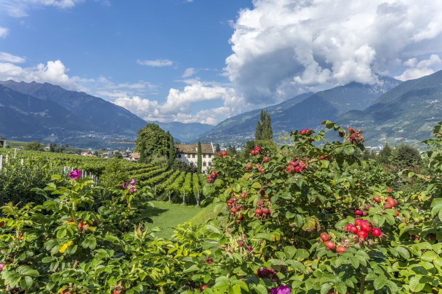 Ein Potpourri durch Südtirol