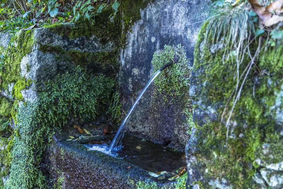 Wandern-Piemonte-Natur