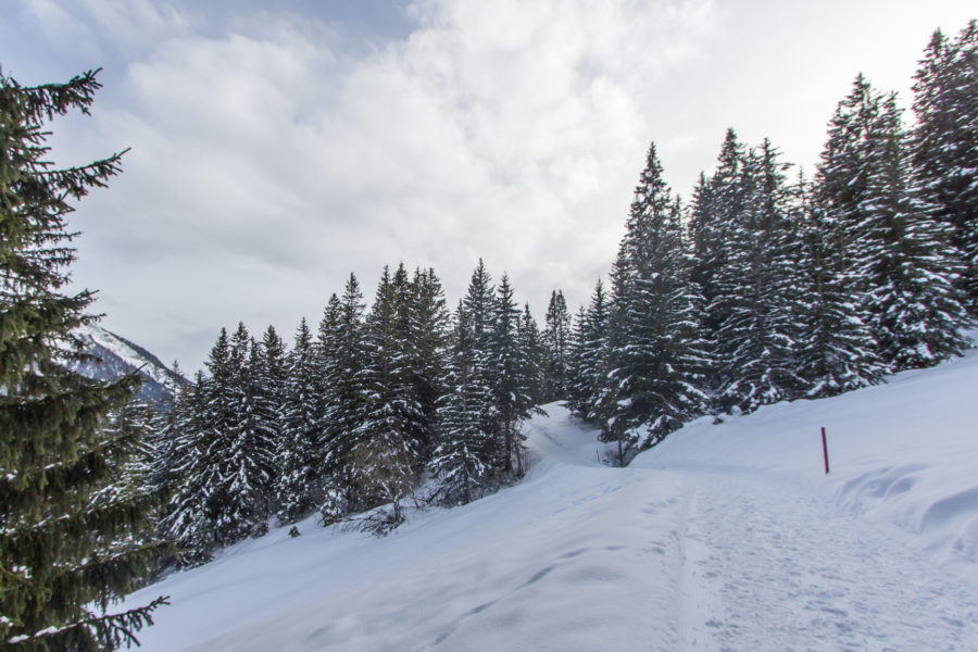 Winterzauber à la Lenzerheide