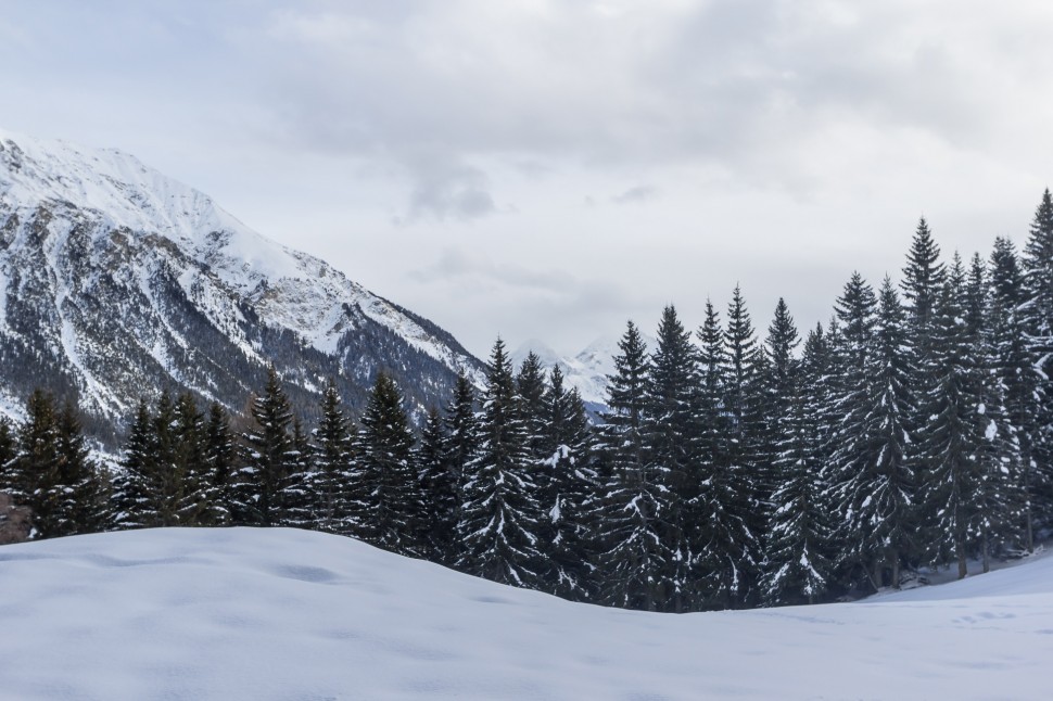 lenzerheide-winterzauber