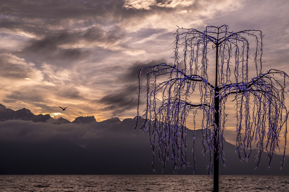 montreuxnoel-ferrie-du-lac