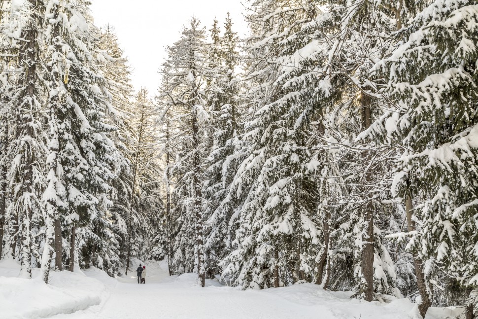 Chamonix-Argentiere-Winterwandern