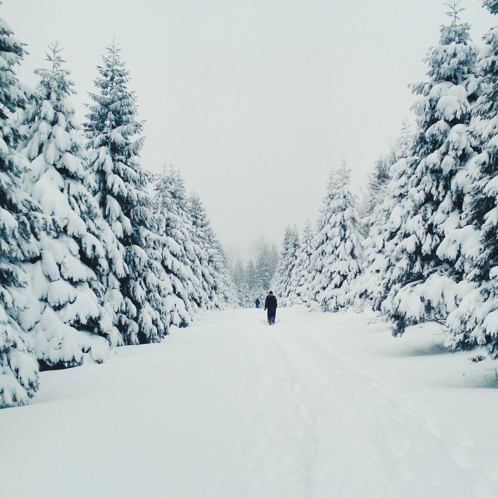 Dezember-Winter-Uetliberg