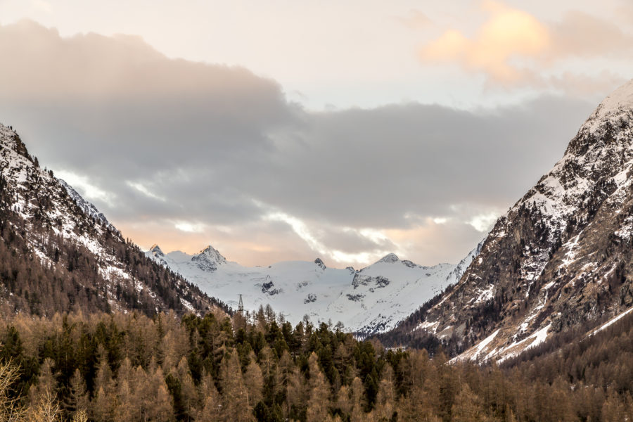 Hotel Saratz – wo in Pontresina Alt auf Neu trifft