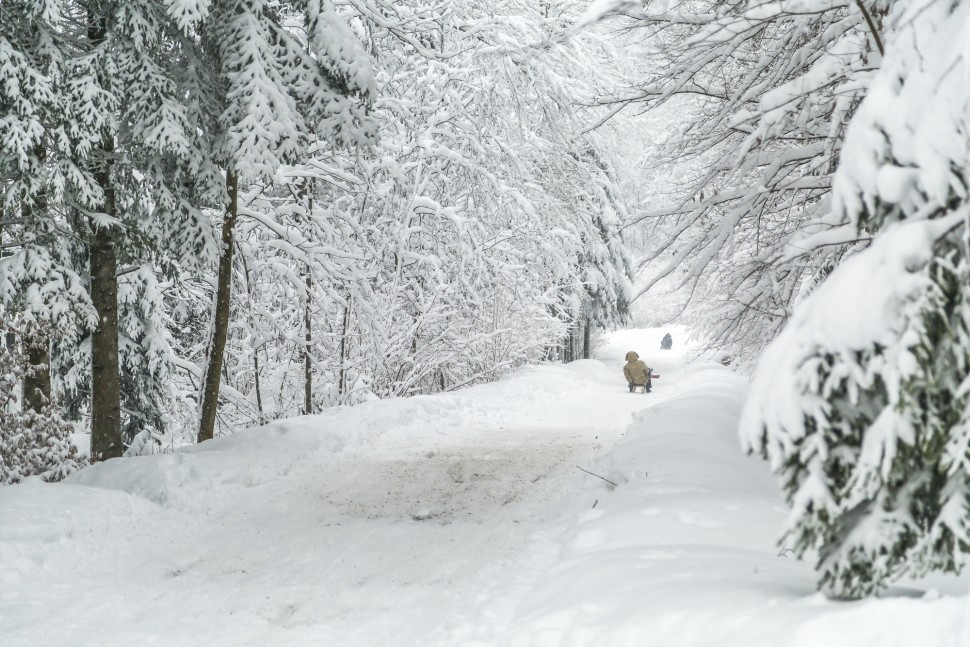 Uetliberg-Schlittelweg