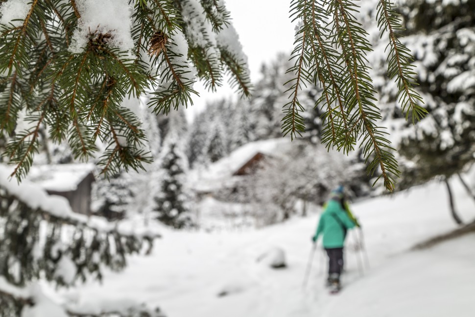 Vallorcine-Winterwandern-1