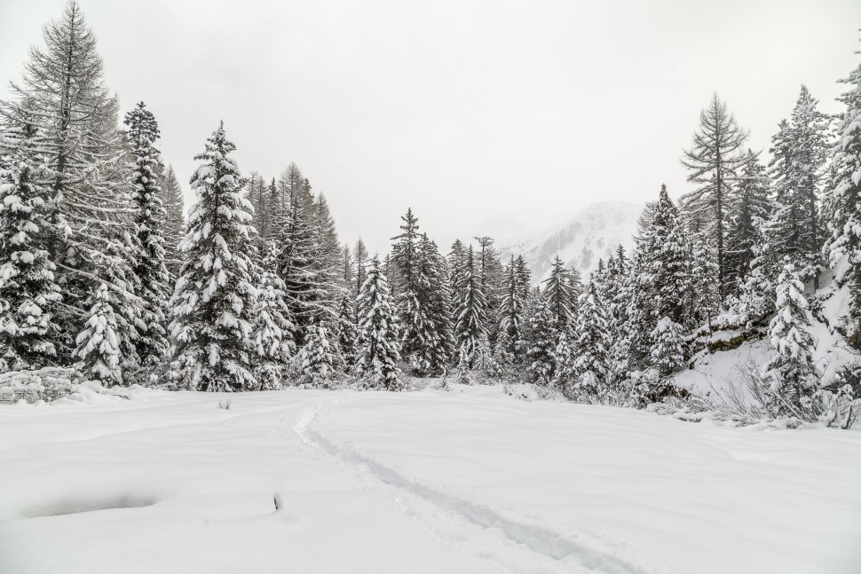 Winter-Vallorcine-Chamonix