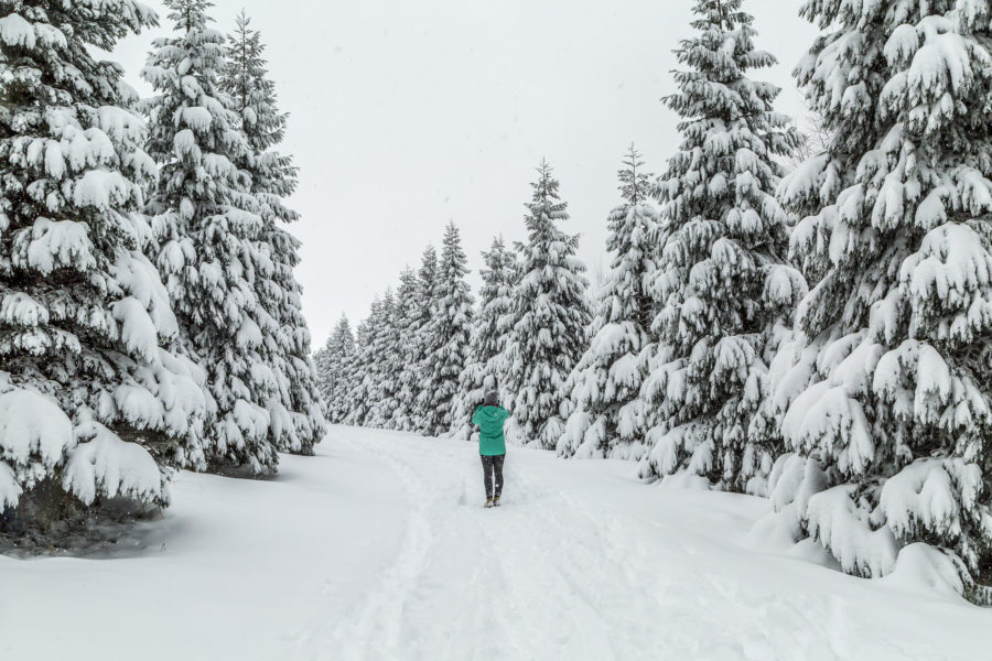 Winterwanderung auf dem Uetliberg in Zürich