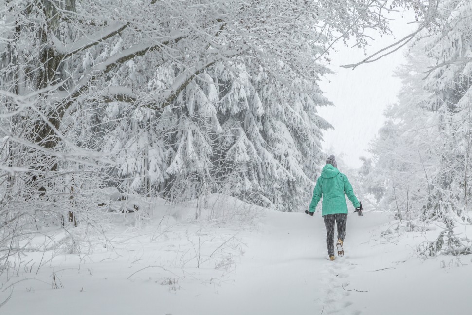 Winterzauber-Uetliberg-1