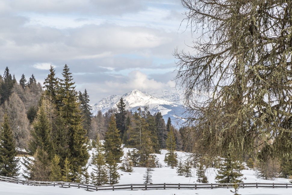 Natur-Toblach-Pustertal