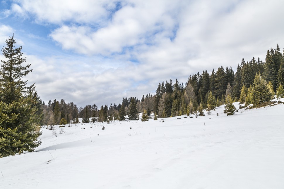 Pustertal-Natur-Toblach