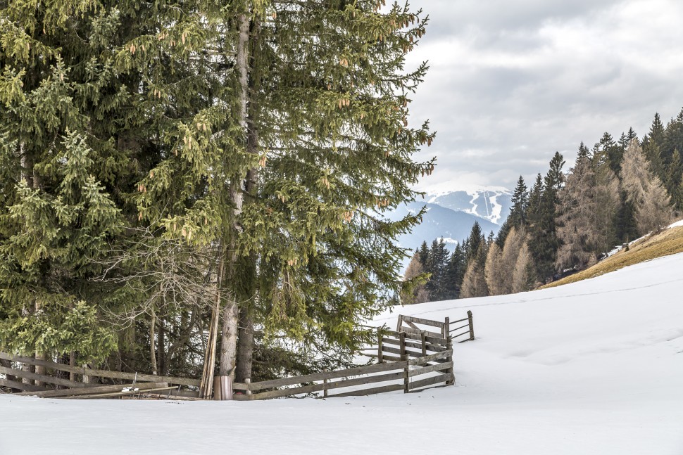 Pustertal-Schneeschuhtour